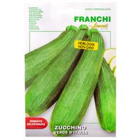 Franchi Sementi Verde di Italia Marrow/Zucchini